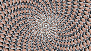 IBM's Fractalizer Turns Any Tumblr Into a Trippy Fractal
